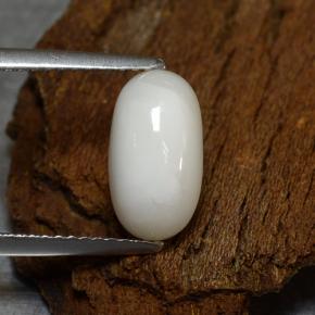 Corail blanc naturelle coupe ovale, 2,39 ct, opaque
