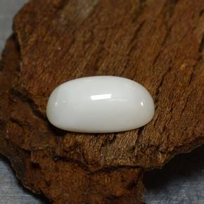 Corail blanc naturelle coupe ovale, 2,39 ct, opaque
