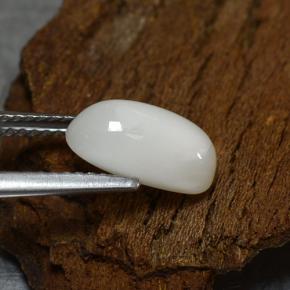 Corail blanc naturelle coupe ovale, 2,39 ct, opaque