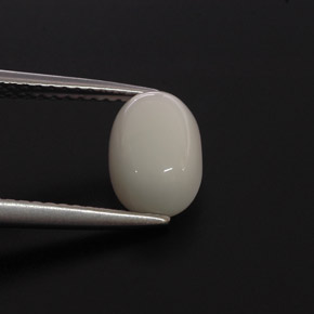 Corail Blanc naturelle Coupe ovale, 2.00 ct, Opaque