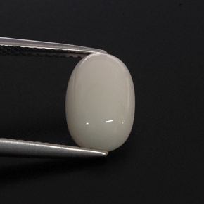 Corail blanc naturelle coupe ovale, 2,37 ct, opaque