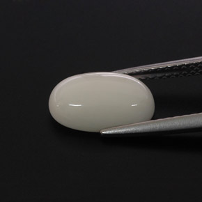 Corail blanc naturelle coupe ovale, 2,37 ct, opaque