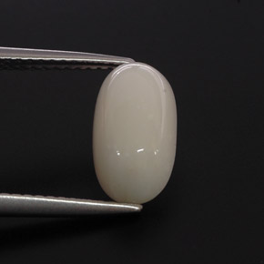 Corail blanc naturelle coupe ovale, 2,85 ct, opaque