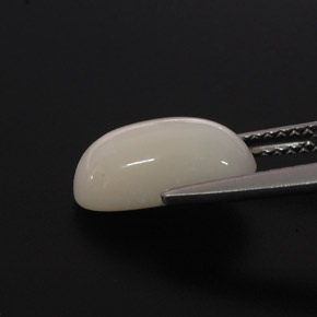 Corail blanc naturelle coupe ovale, 2,85 ct, opaque