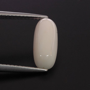 Corail blanc naturelle coupe ovale, 2,28 ct, opaque