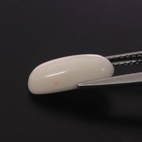 Corail blanc naturelle coupe ovale, 2,28 ct, opaque