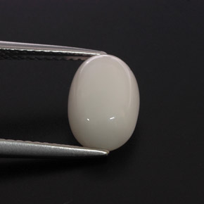 Corail blanc naturelle coupe ovale, 2,68 ct, opaque