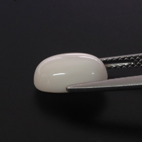 Corail blanc naturelle coupe ovale, 2,68 ct, opaque