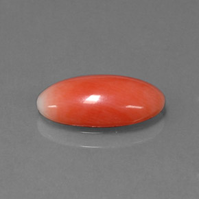 Corail Saumon naturelle Coupe ovale, 1.69 ct, Opaque