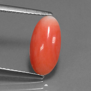 Corail Saumon naturelle Coupe ovale, 1.69 ct, Opaque