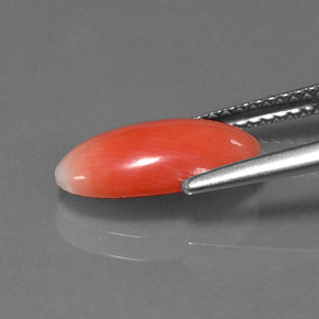 Corail Saumon naturelle Coupe ovale, 1.69 ct, Opaque