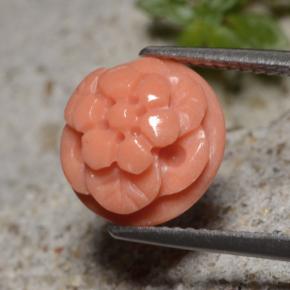 Corail rose naturelle taille fleur, 4,01 ct, opaque