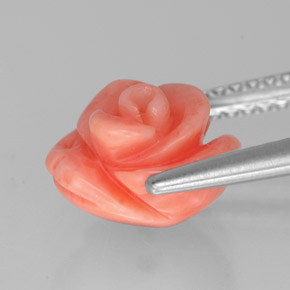 Corail rose naturelle forme fantaisie, 2,84 ct, opaque