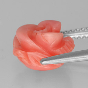 Corail rose naturelle forme fantaisie, 3,61 ct, opaque