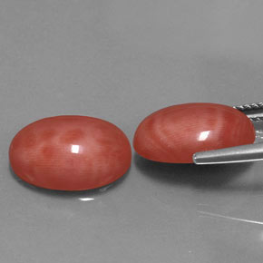 Achetez naturel ct rose corail gems, coupe ovale, en provenance taïwan chez gemselect. en stock, livraison internationale!