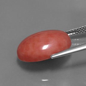 Corail rose naturelle coupe ovale, 7,54 ct, opaque