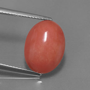 Corail rose naturelle coupe ovale, 5,26 ct, opaque