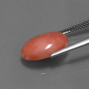 Corail rose naturelle coupe ovale, 4,05 ct, opaque