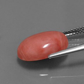 Corail Saumon naturelle Coupe ovale, 4.53 ct, Opaque