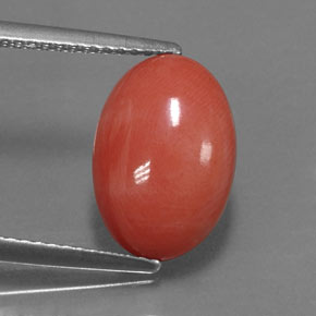 Corail rose naturelle coupe ovale, 3,33 ct, opaque