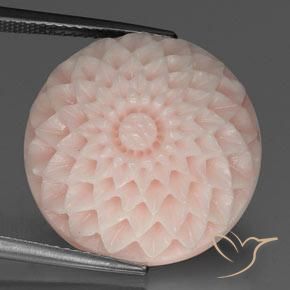 24.56ct Naturel Saumon Rose corail, Taille Fleur, Opaque