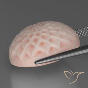 Corail Saumon Rose naturelle Taille Fleur, 24.56 ct, Opaque