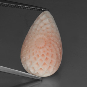Corail blanc naturelle forme fantaisie, 19,21 ct, opaque