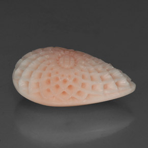 Corail blanc naturelle forme fantaisie, 19,21 ct, opaque