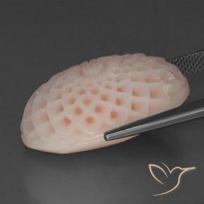 Corail Saumon Rose naturelle Taille Fleur, 29.15 ct, Opaque