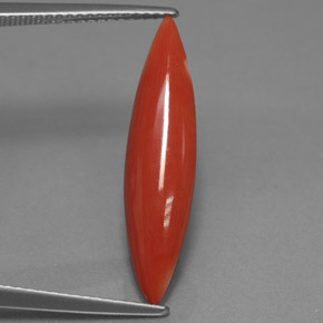 Corail rose naturelle marquise, 2,45 ct, opaque