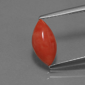 Corail rose naturelle marquise, 1,23 ct, opaque