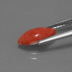 Corail rose naturelle marquise, 1,23 ct, opaque