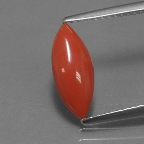 Corail rose naturelle marquise, 1,18 ct, opaque