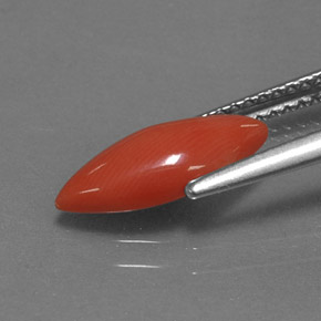 Corail rose naturelle marquise, 1,18 ct, opaque
