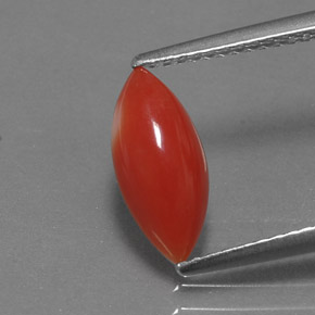 Corail rose naturelle marquise, 1,30 ct, opaque