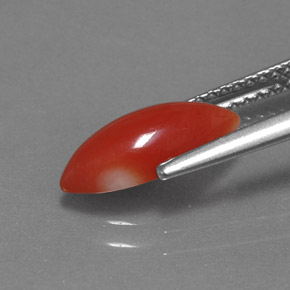 Corail rose naturelle marquise, 1,30 ct, opaque
