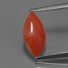Corail rose naturelle marquise, 1,16 ct, opaque