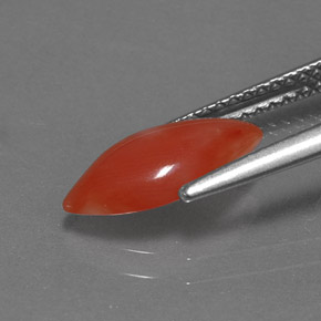 Corail rose naturelle marquise, 1,16 ct, opaque