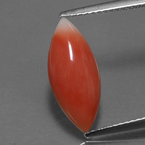 Corail rose naturelle marquise, 2,56 ct, opaque