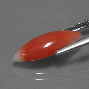 Corail rose naturelle marquise, 2,56 ct, opaque