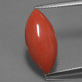Corail Saumon blanc naturelle Marquise, 4.46 ct, Opaque