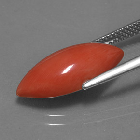 Corail Saumon blanc naturelle Marquise, 4.46 ct, Opaque