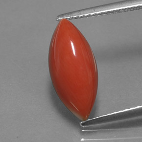 Corail rose naturelle marquise, 3,54 ct, opaque