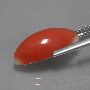 Corail rose naturelle marquise, 3,54 ct, opaque