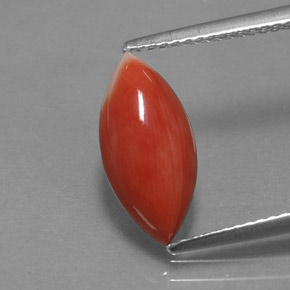 Corail Saumon blanc naturelle Marquise, 2.34 ct, Opaque