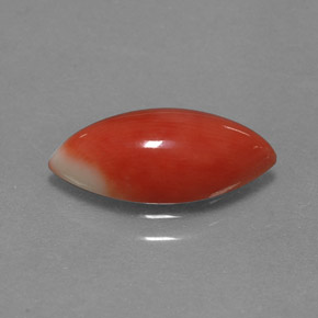 Corail Saumon blanc naturelle Marquise, 2.34 ct, Opaque