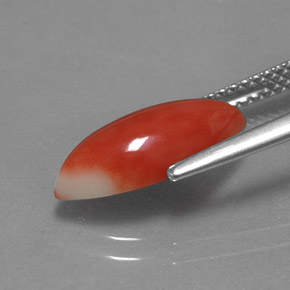 Corail Saumon blanc naturelle Marquise, 2.34 ct, Opaque
