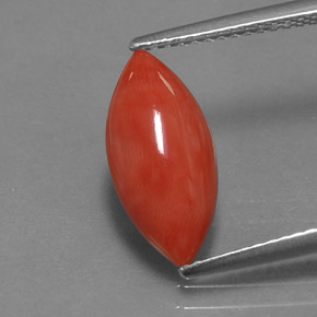 Corail rose naturelle marquise, 2,03 ct, opaque