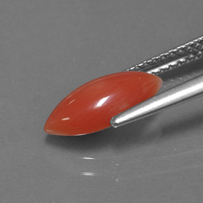 Corail Saumon blanc naturelle Marquise, 1.27 ct, Opaque