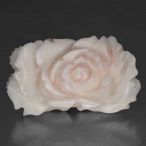 Corail blanc naturelle forme fantaisie, 24,33 ct, opaque